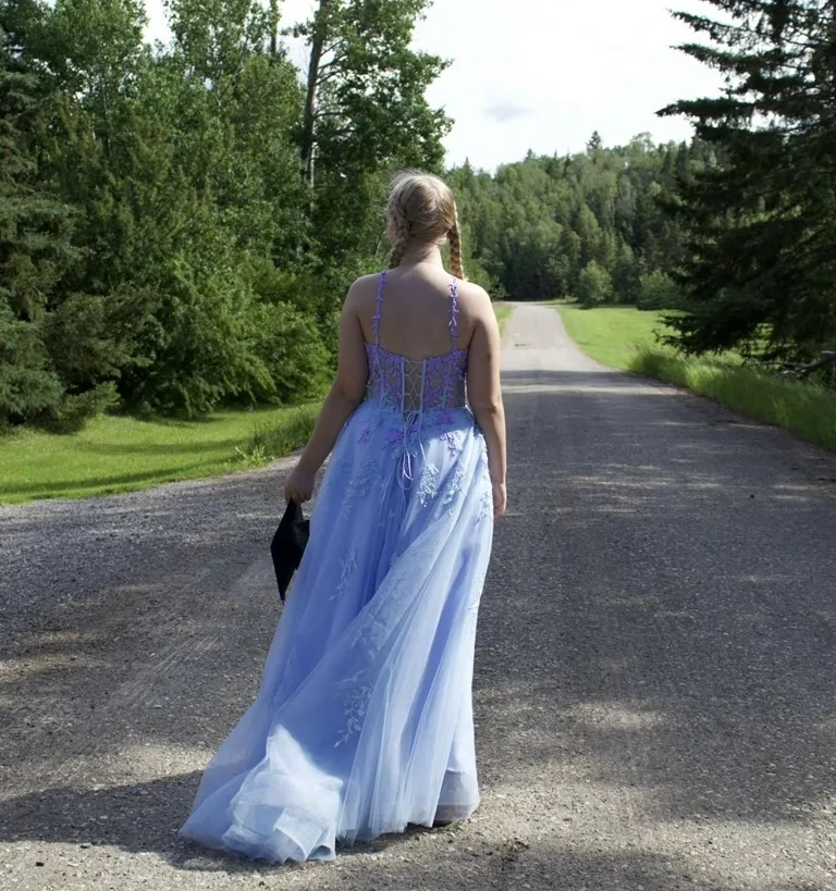 Blue Prom Dress Back